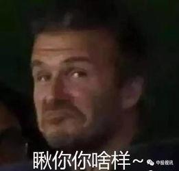 娱乐吃瓜翁,揭秘娱乐圈幕后故事
